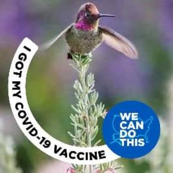 Meet your Posher, Cheryl - Picture 1 of 1